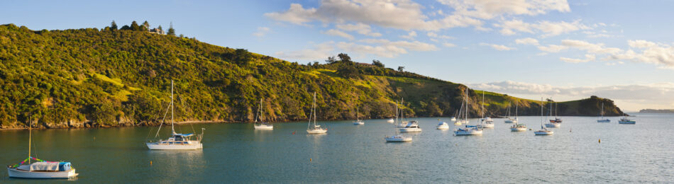 Waiheke Sailboats