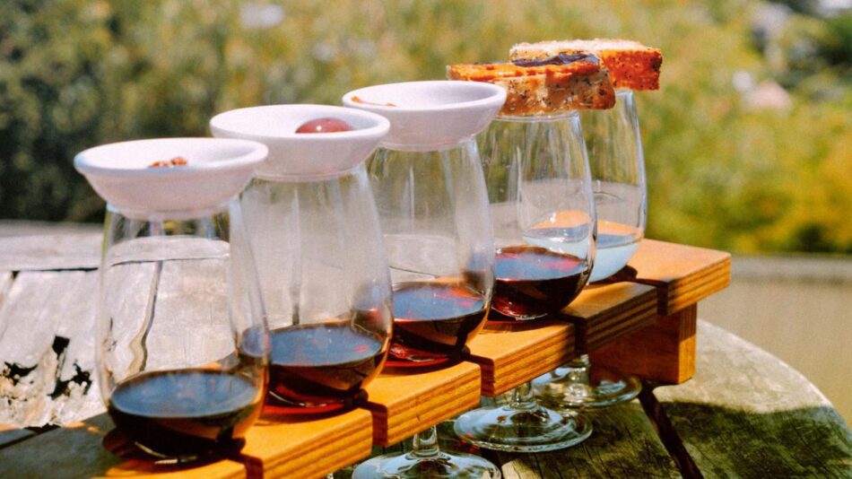 The Wine Tasting Company – Exclusive Wine Tours on Waiheke Island